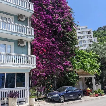 Apartmani Dubravka Rafailovici Exterior photo